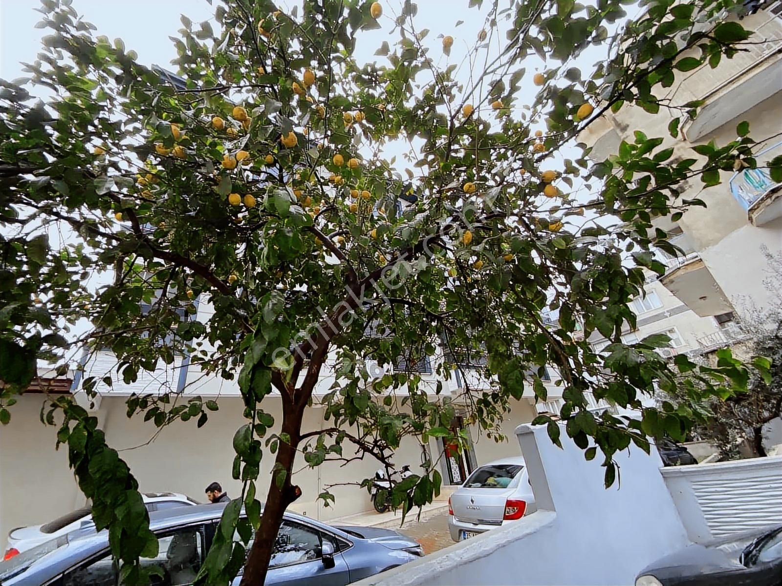 Torbalı Mah Alpkent Camisi Yanı Kiralık 2+1 Sıfır Daire - Görsel 12