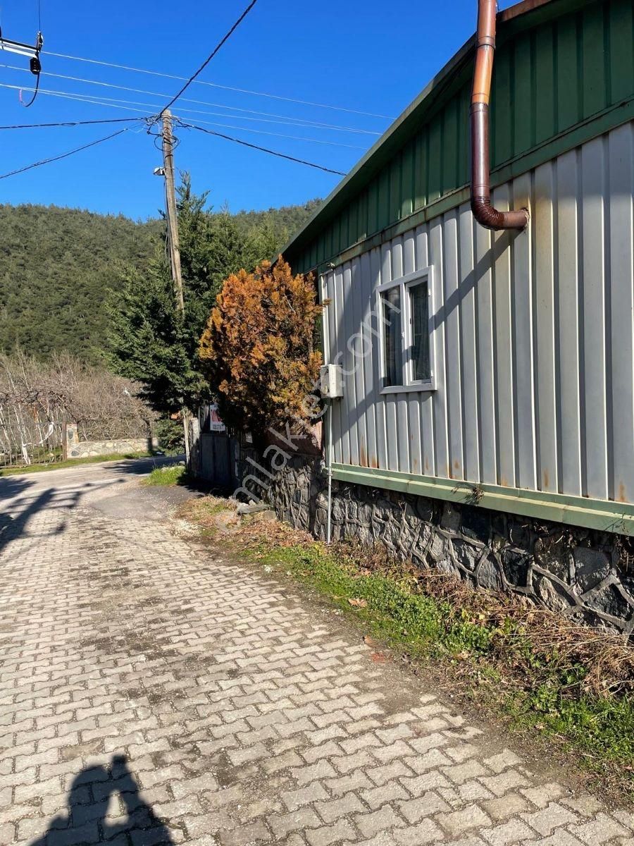 Bursa Kestel Derekizik - Görsel 11