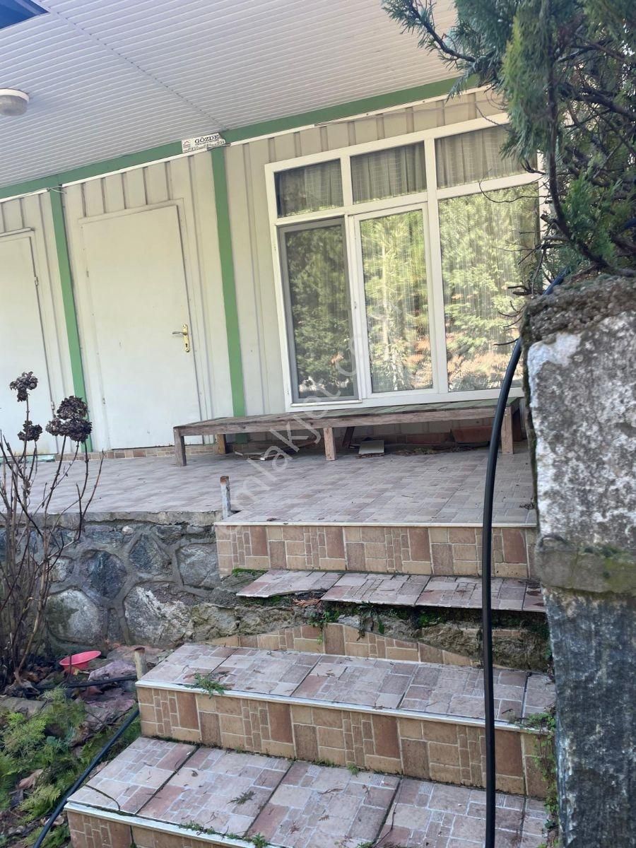 Bursa Kestel Derekizik