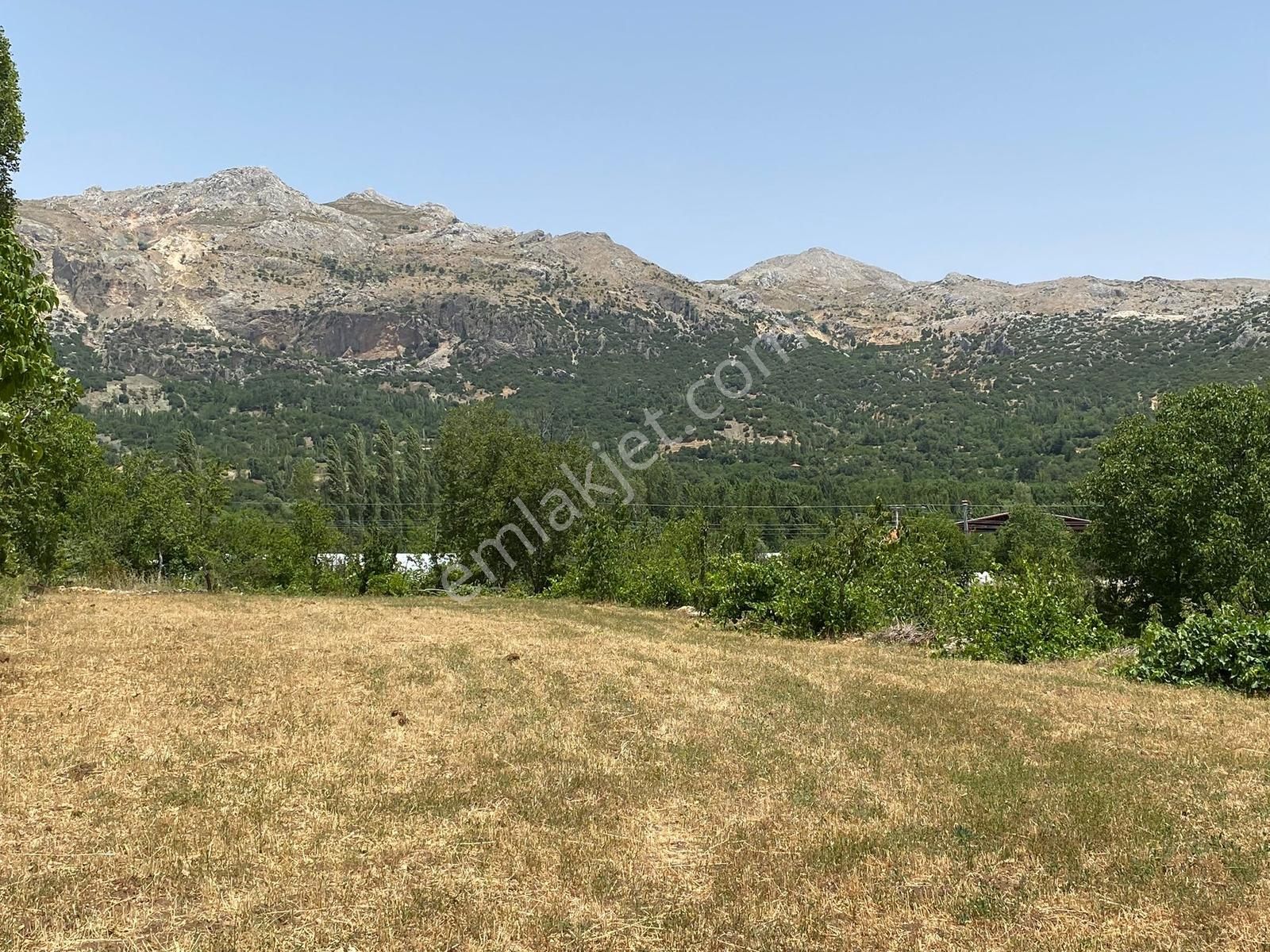 Burdur Ağlasun İlçesi Yeşilbaşköy De Ceviz Bahçesi - Görsel 5