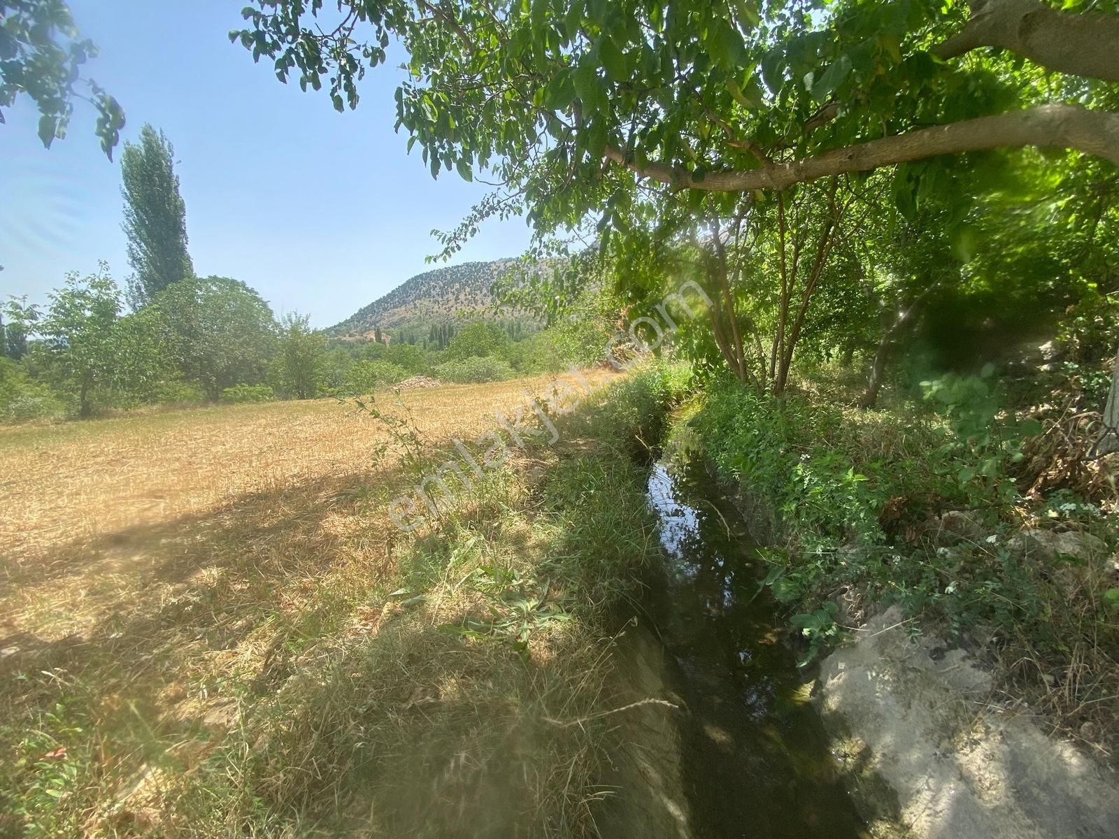 Burdur Ağlasun İlçesi Yeşilbaşköy De Ceviz Bahçesi - Görsel 7