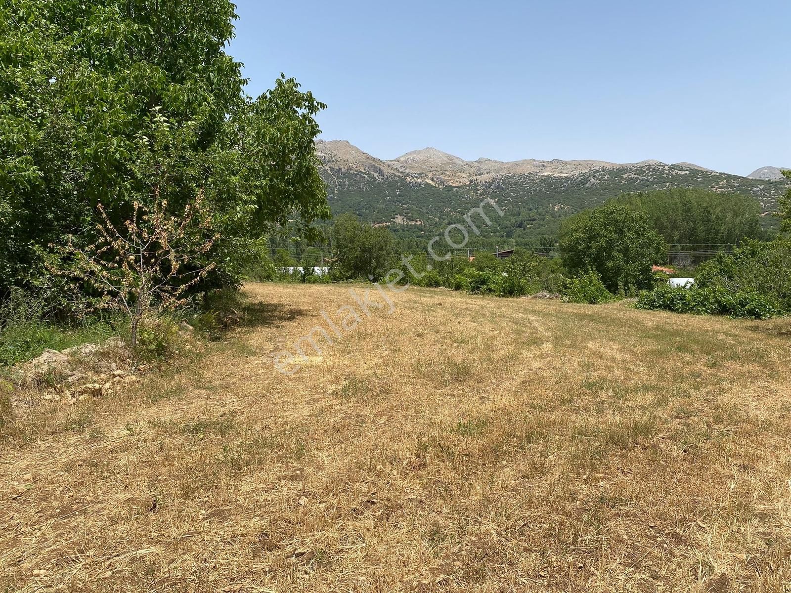 Burdur Ağlasun İlçesi Yeşilbaşköy De Ceviz Bahçesi - Görsel 6