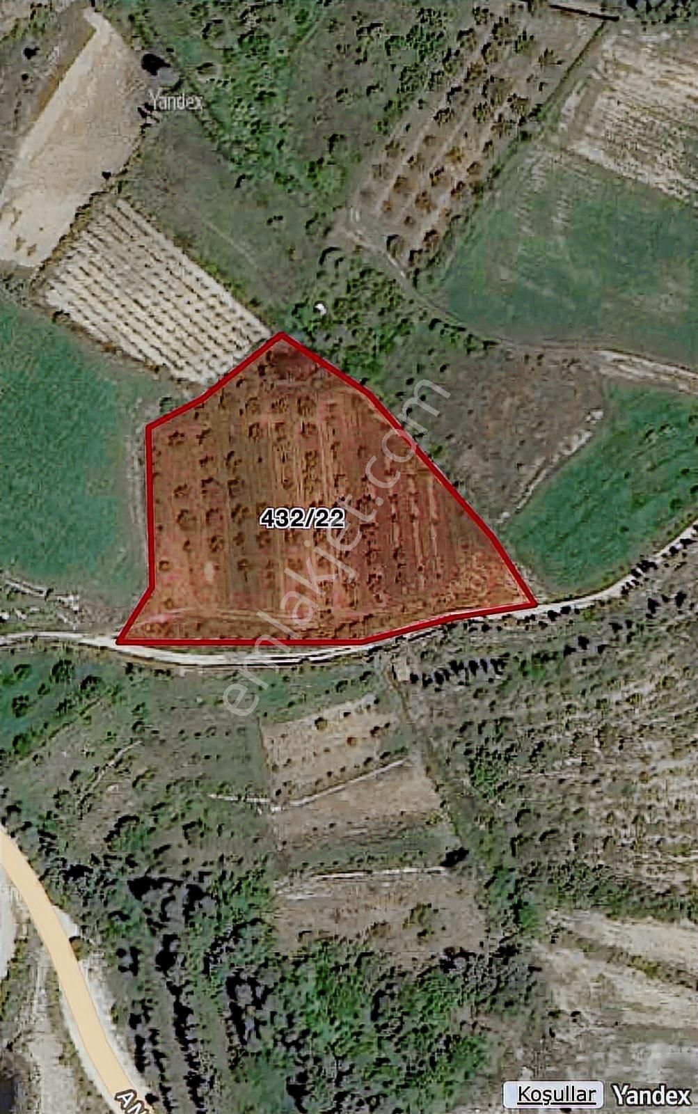 Burdur Ağlasun Da 5.565 M2 Yol Ve Sontajlı - Görsel 3