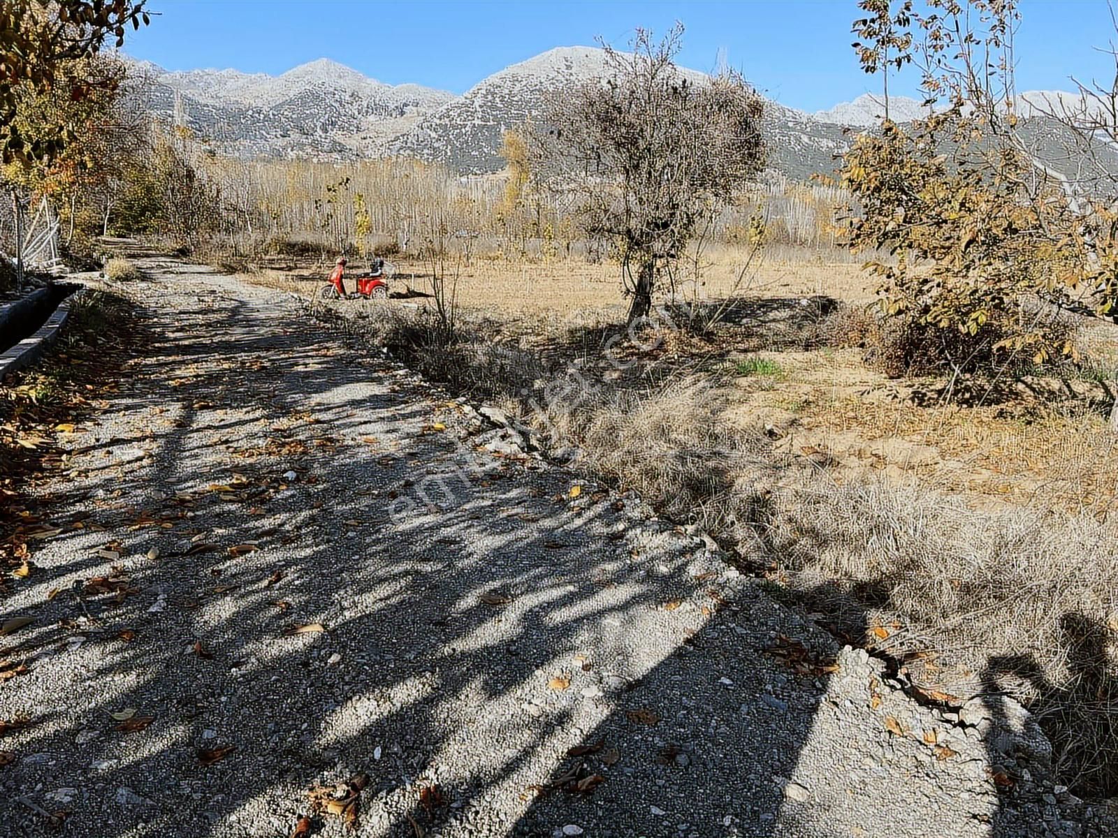 Satılık Yatırımlık İçinde Ceviz Ağaçları Bulunan Arazi - Görsel 2