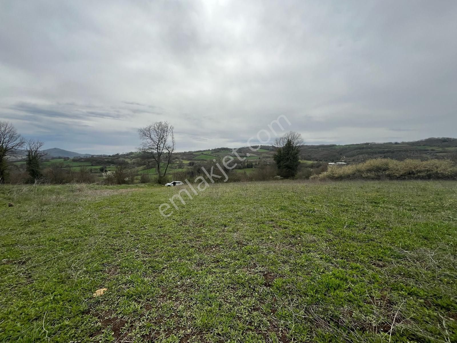 Çanakkale Yenice Karadoru Köyü Satılık Müstakil Tarla