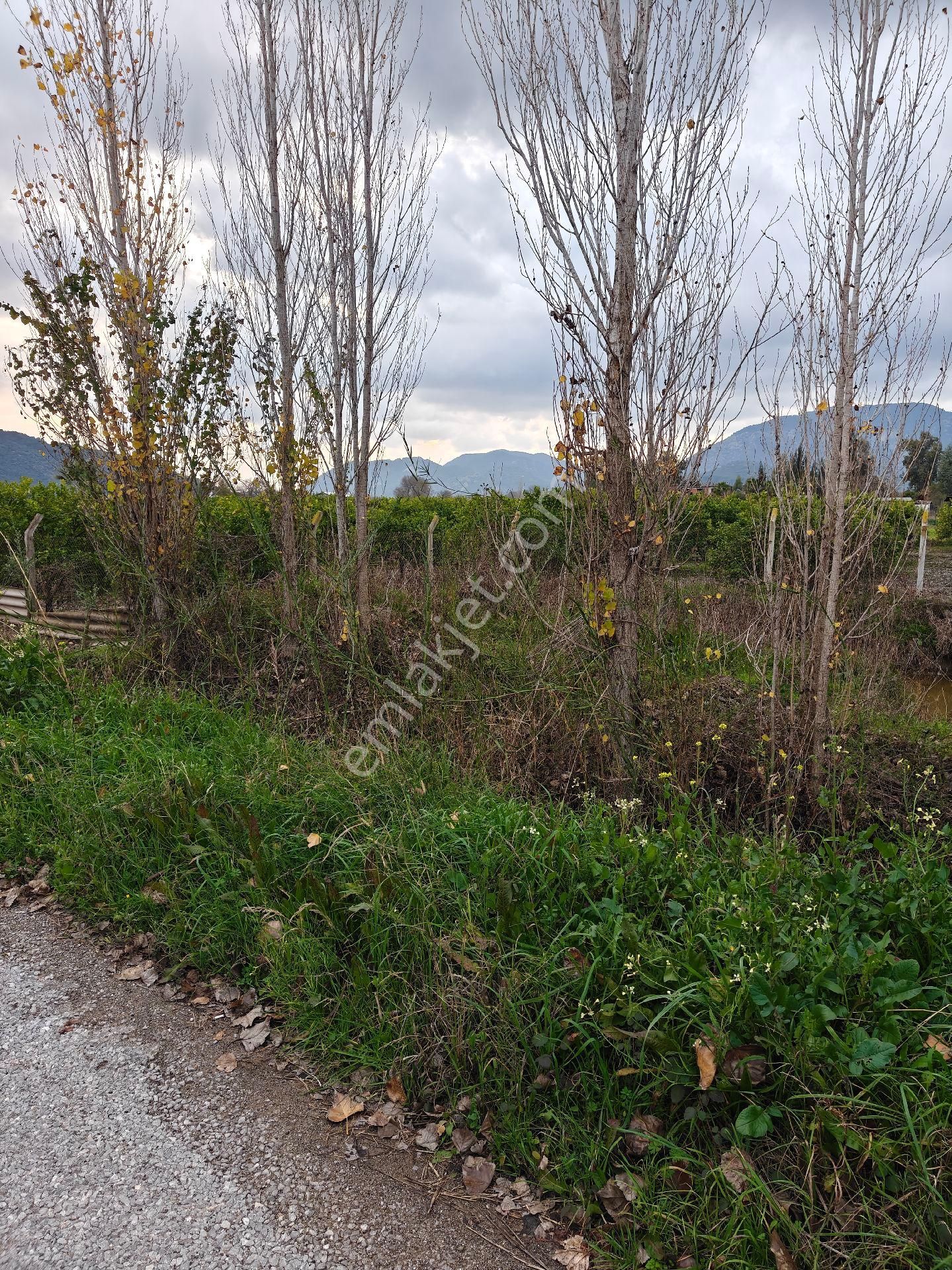 Muğla Ortaca Fevziye Satılık Arsa Plan Proje Onaylı - Görsel 6