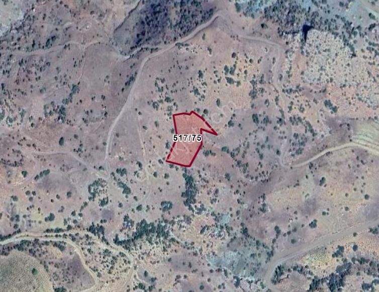 Konya Hadim Göynükkışla Köyünde 3.301 M² Bağ Satılıktır