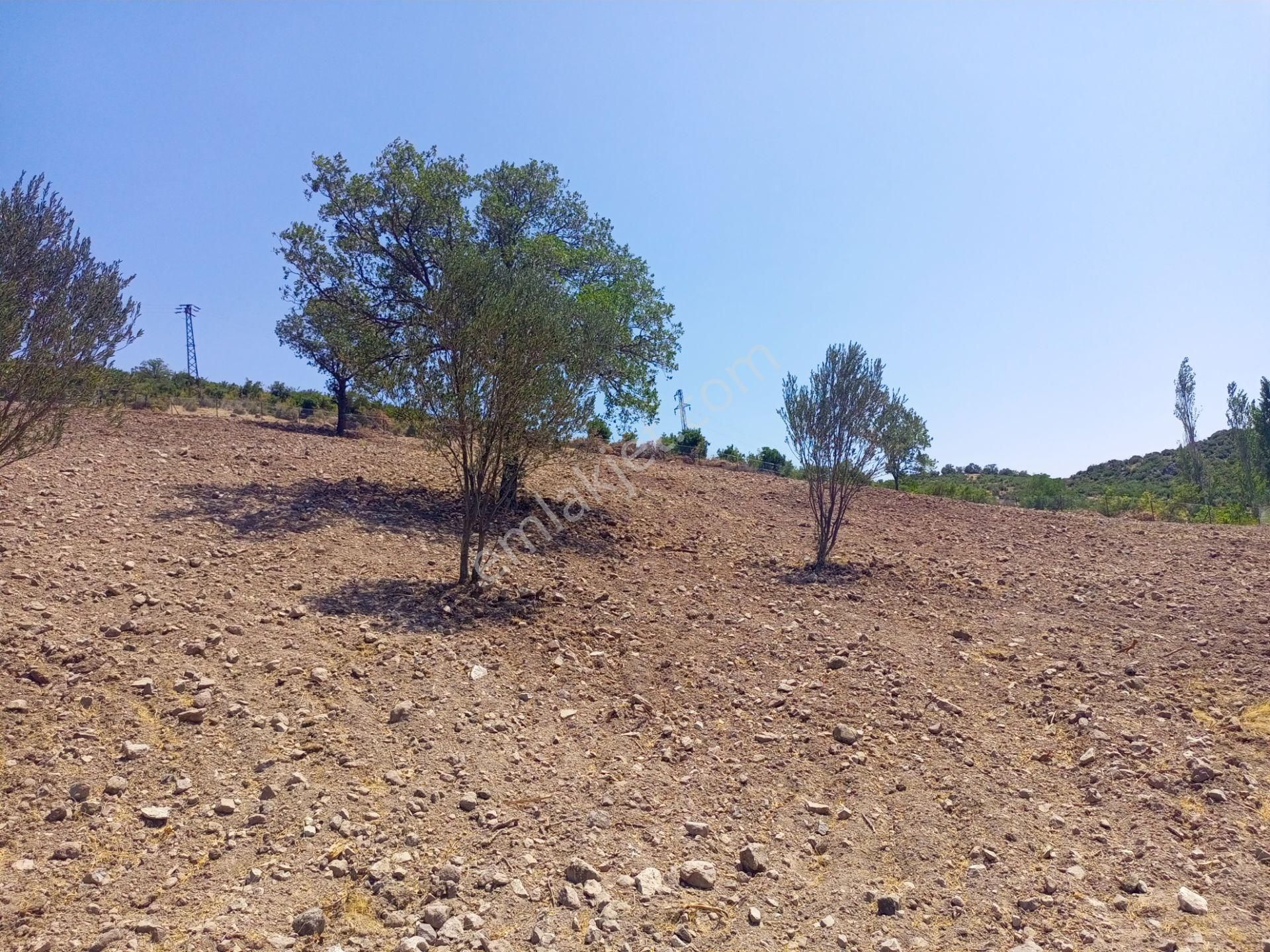 Bergama Durmuşlar'da Göl Manzaralı Müstakil Parsel Tek Tapu 7620m2 Arazimiz Satılıktır - Görsel 10