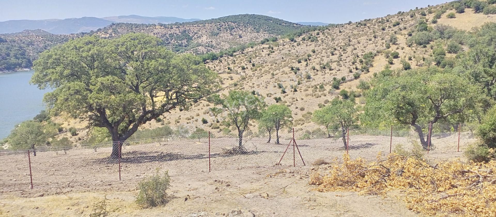 Bergama Durmuşlar'da Göl Manzaralı Müstakil Parsel Tek Tapu 7620m2 Arazimiz Satılıktır - Görsel 24
