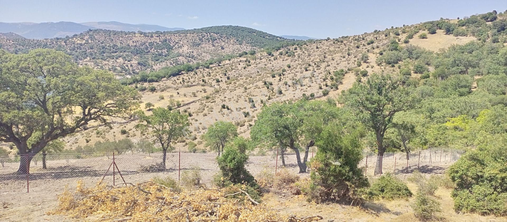 Bergama Durmuşlar'da Göl Manzaralı Müstakil Parsel Tek Tapu 7620m2 Arazimiz Satılıktır - Görsel 26