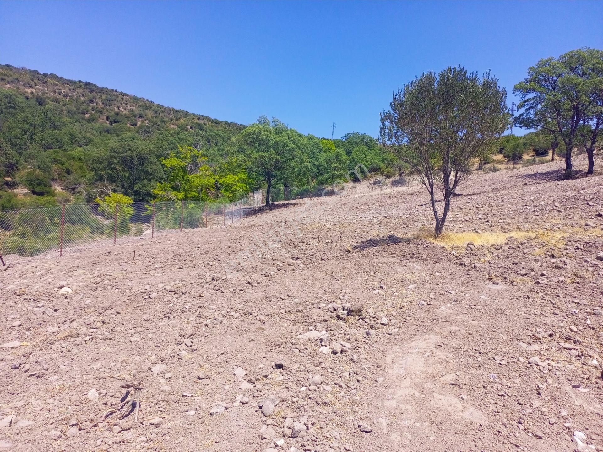 Bergama Durmuşlar'da Göl Manzaralı Müstakil Parsel Tek Tapu 7620m2 Arazimiz Satılıktır - Görsel 11