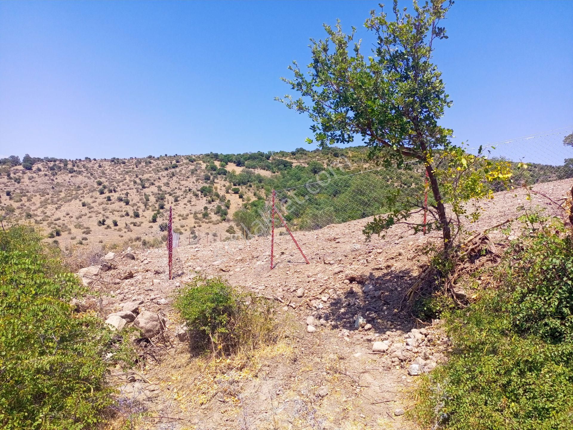 Bergama Durmuşlar'da Göl Manzaralı Müstakil Parsel Tek Tapu 7620m2 Arazimiz Satılıktır - Görsel 4