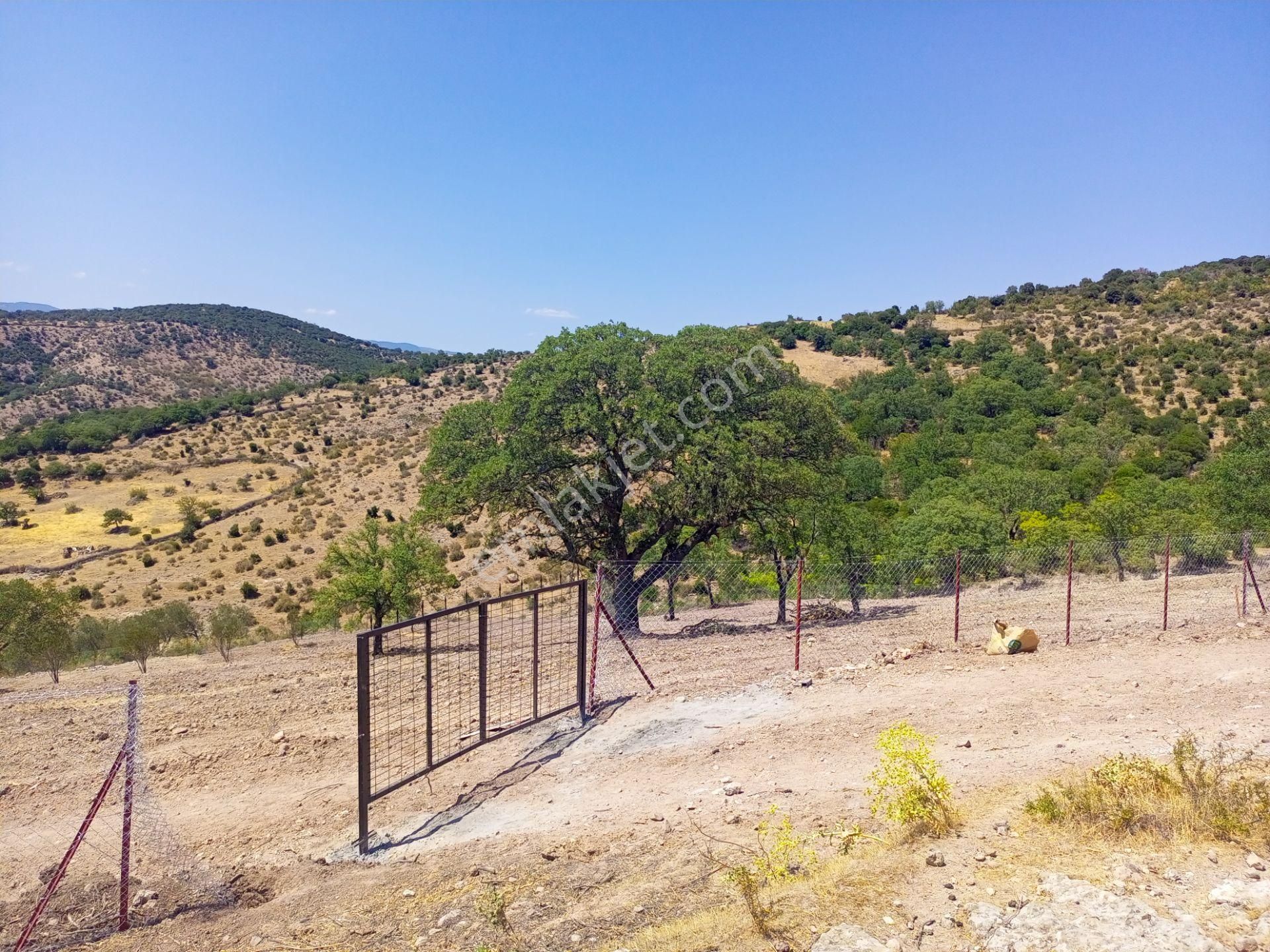 Bergama Durmuşlar'da Göl Manzaralı Müstakil Parsel Tek Tapu 7620m2 Arazimiz Satılıktır - Görsel 17