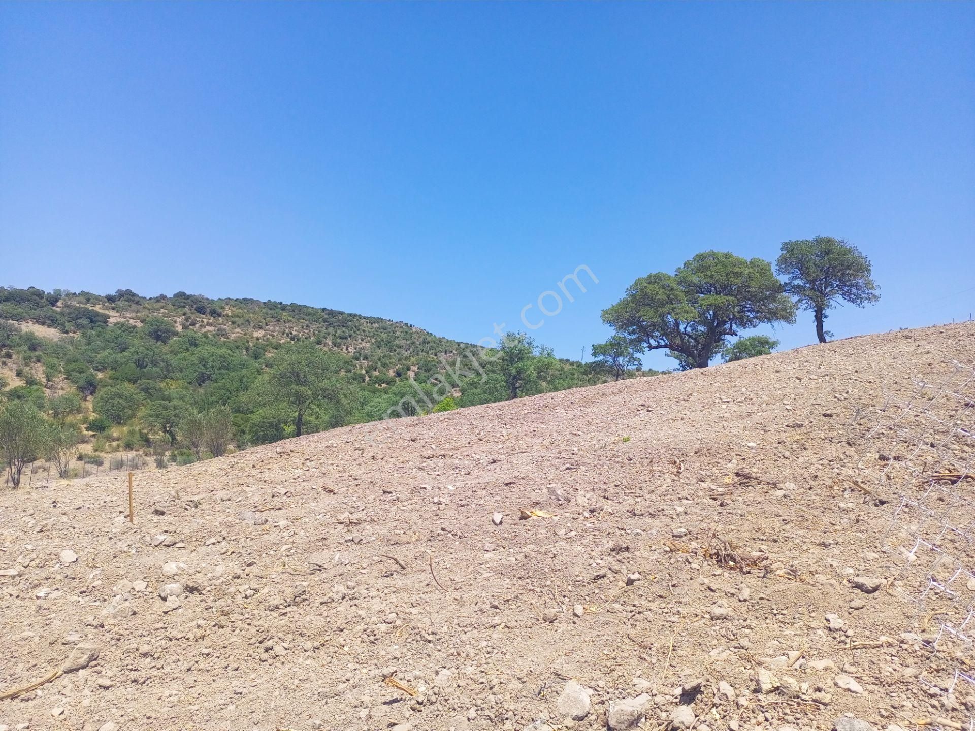 Bergama Durmuşlar'da Göl Manzaralı Müstakil Parsel Tek Tapu 7620m2 Arazimiz Satılıktır - Görsel 6