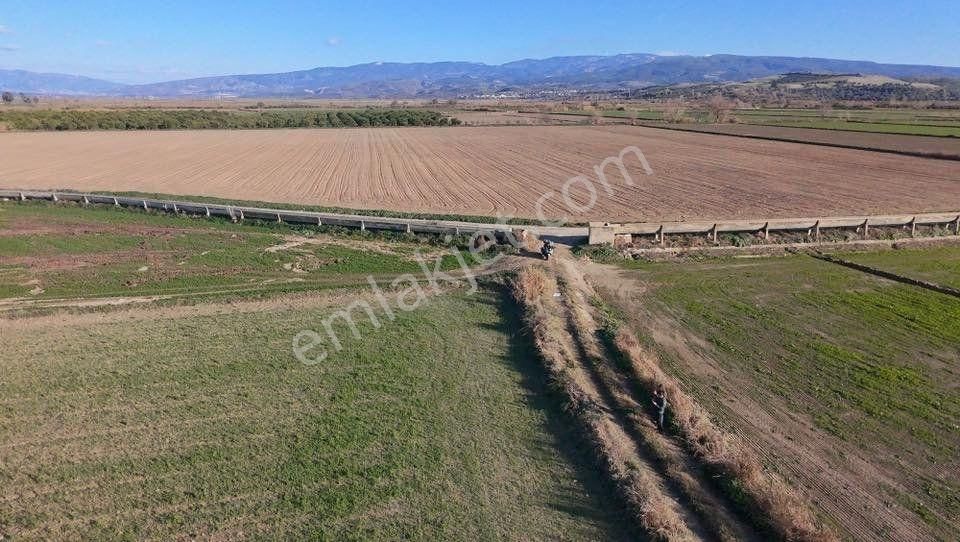 Aydın Kuyucak Karapınar’da Otoban Kenarı Satılık Tarla - Görsel 6