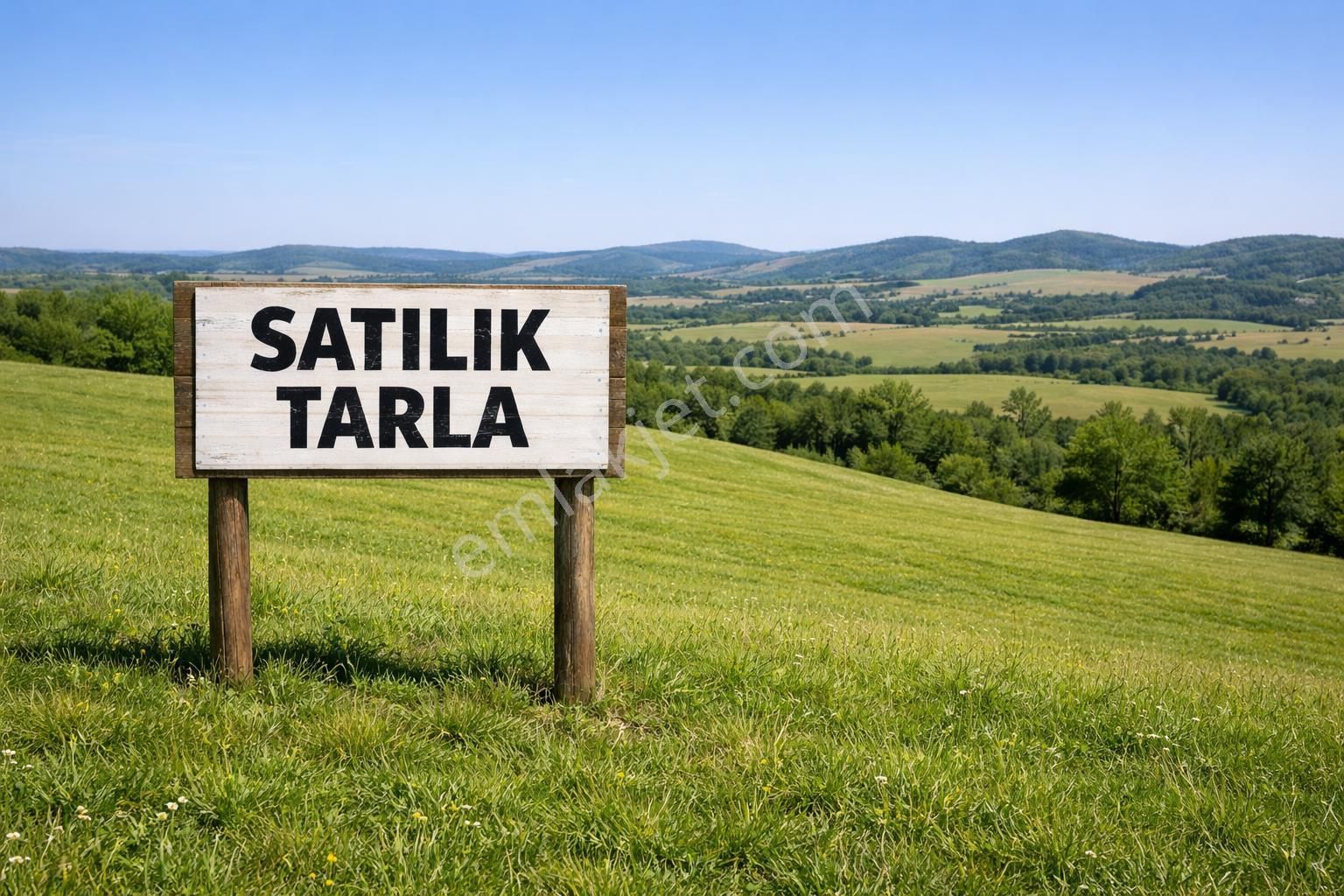 Acil Satılık Denizli Alikurt Denizli-afyon Karayolu 150mt Tarla