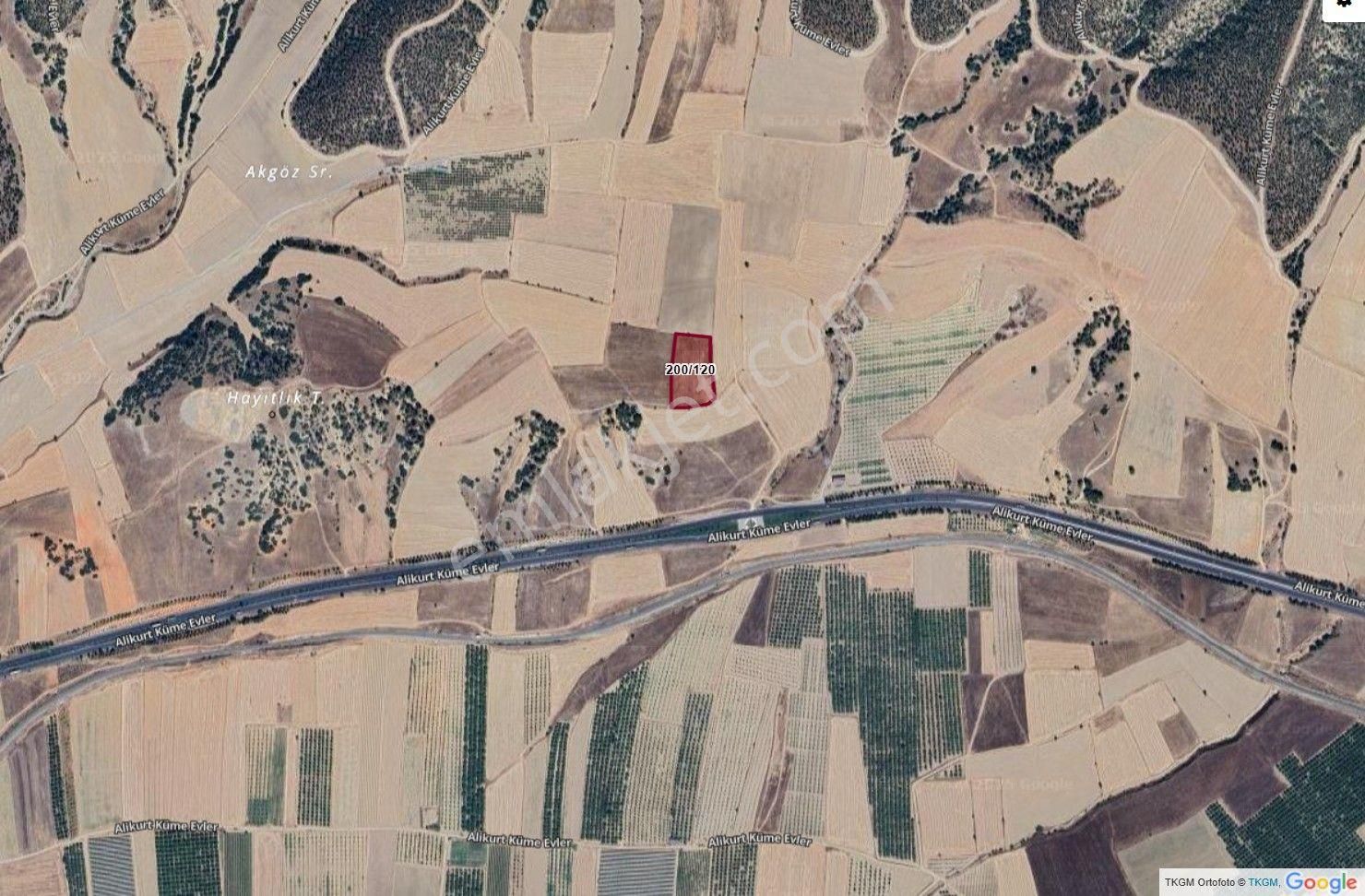 Acil Satılık Denizli Alikurt Denizli-afyon Karayolu 150mt Tarla - Görsel 2