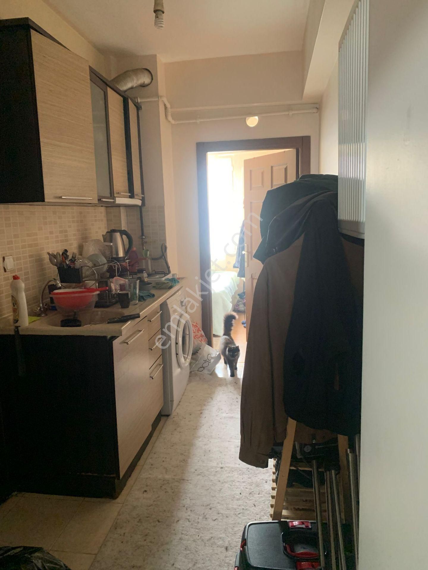 Anadolu Üni. Açıköğretim Fakültesinin Yakını Arakat Daire - Görsel 11