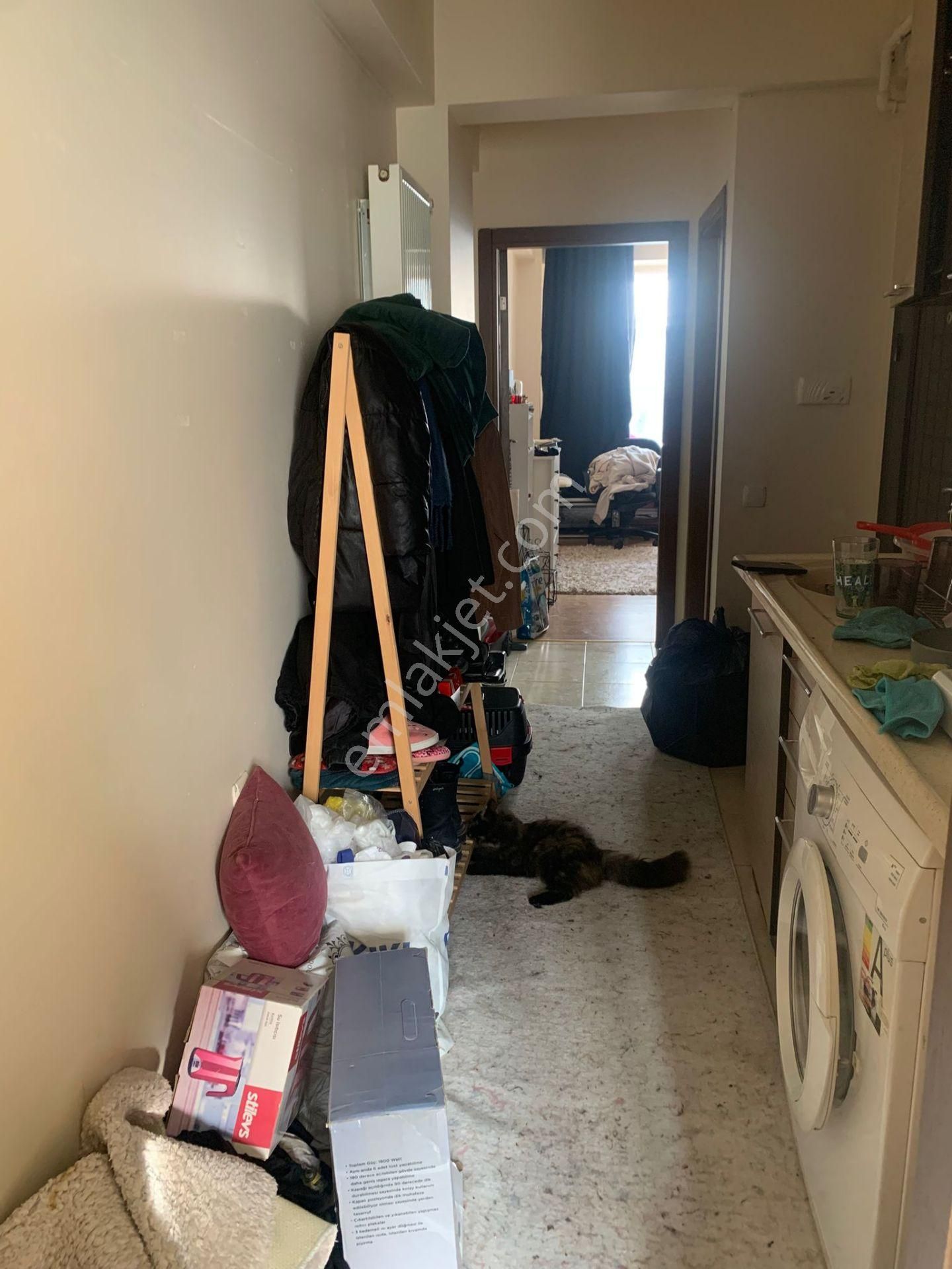 Anadolu Üni. Açıköğretim Fakültesinin Yakını Arakat Daire - Görsel 16