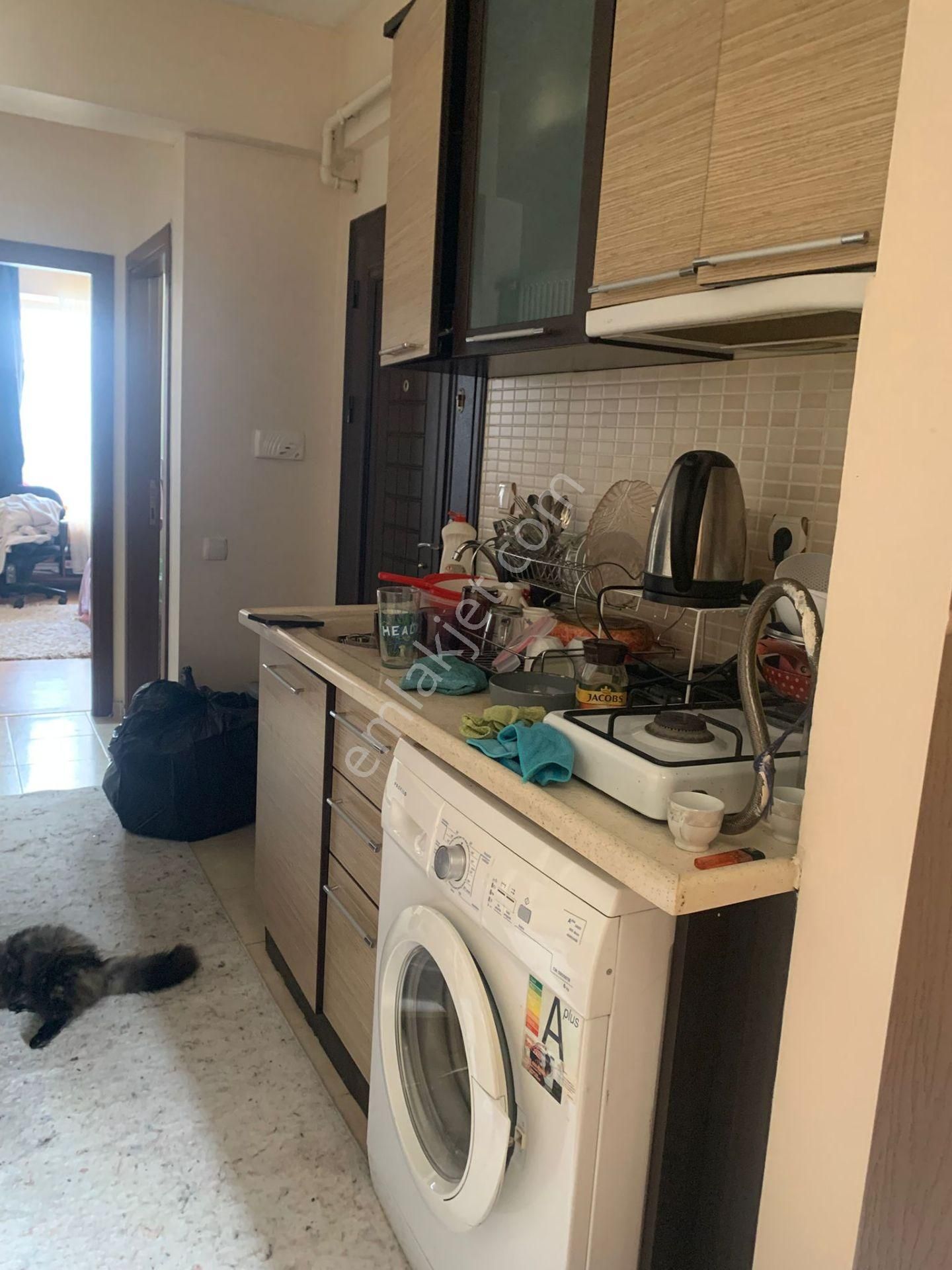 Anadolu Üni. Açıköğretim Fakültesinin Yakını Arakat Daire - Görsel 17