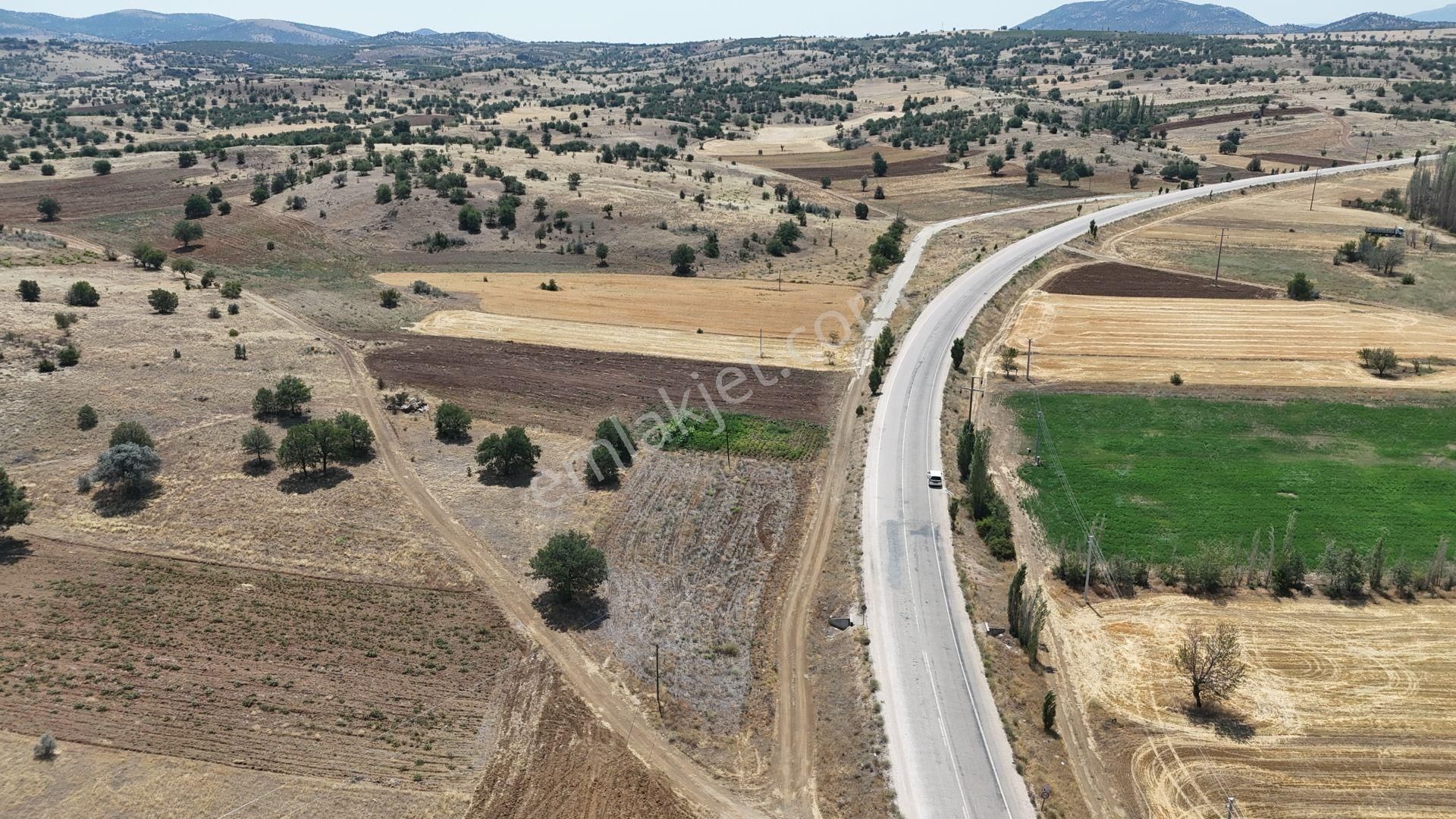 Konya / Güneysınır / Mehmetali Mahallesinde 695 M² Müstakil Tapulu Tarla - Görsel 4