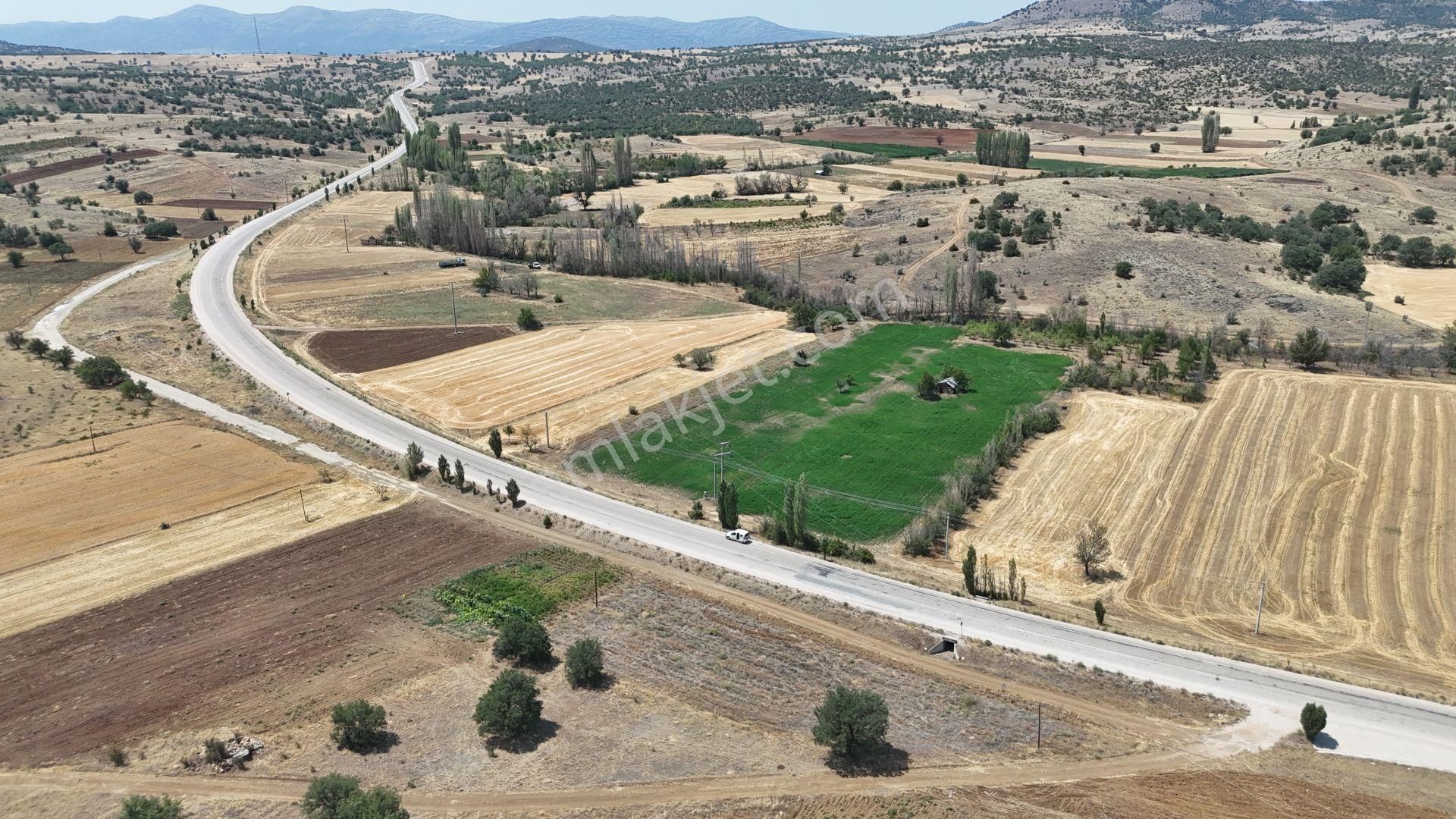 Konya / Güneysınır / Mehmetali Mahallesinde 695 M² Müstakil Tapulu Tarla - Görsel 6