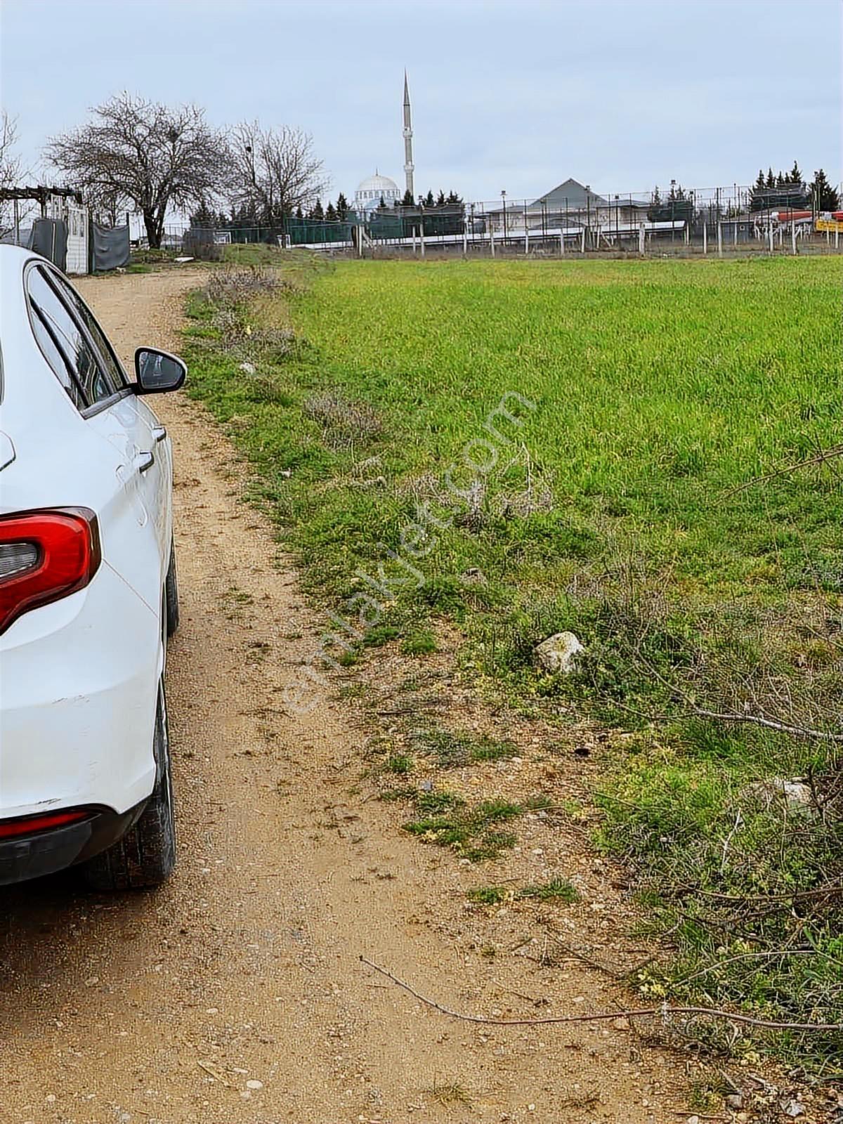 Delfa Yapıdan Kupon Arsa Fiyat Düştü Aciil - Görsel 11