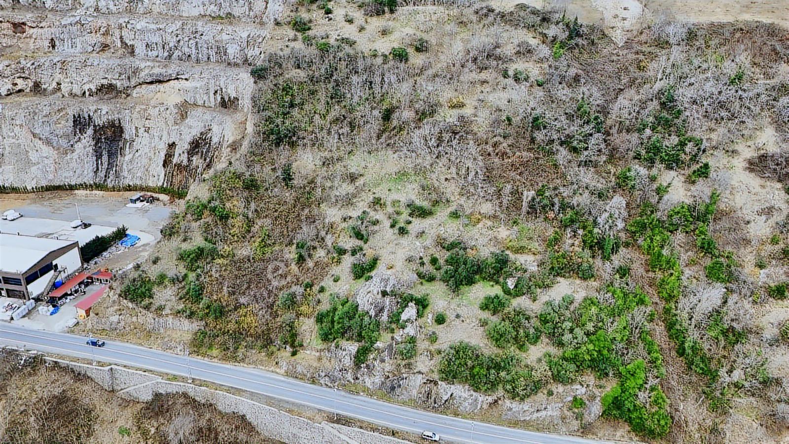 Akyazıda Takaslı Ana Yol Üzeri Satılık Fırsat Arsa - Görsel 11