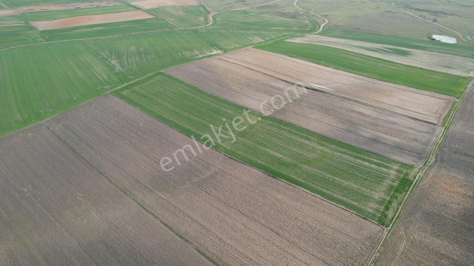 Redstone'dan Ergene Yulaflıda Tek Parça Yaz Kış Yolu Açık Tarla - Görsel 5