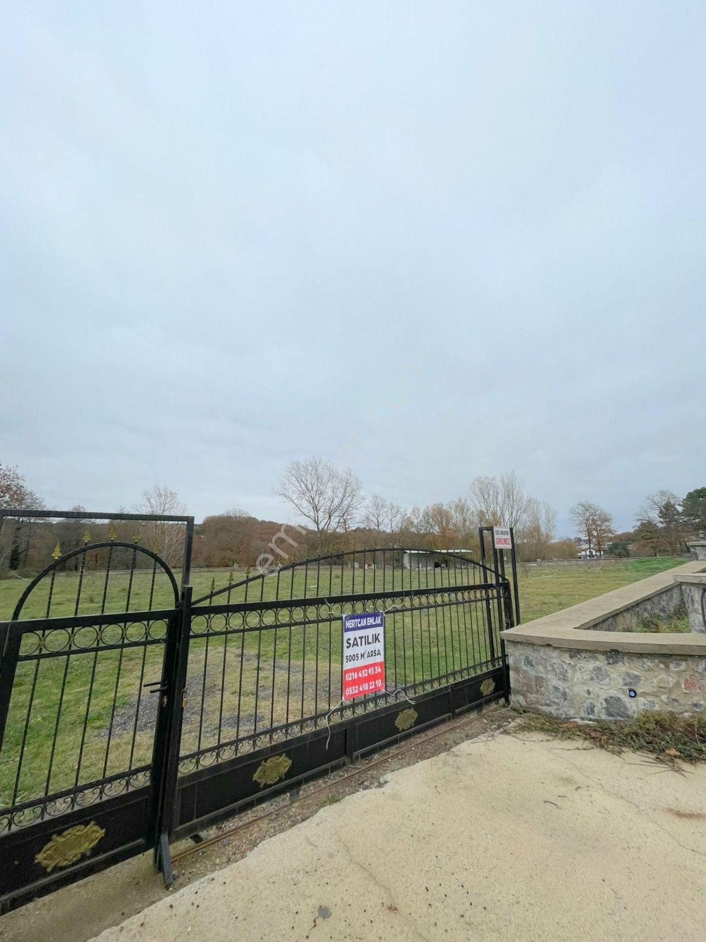 Mertcan'dan Pendik Ballıca Mahallesi Müstakil Parsel Arsa