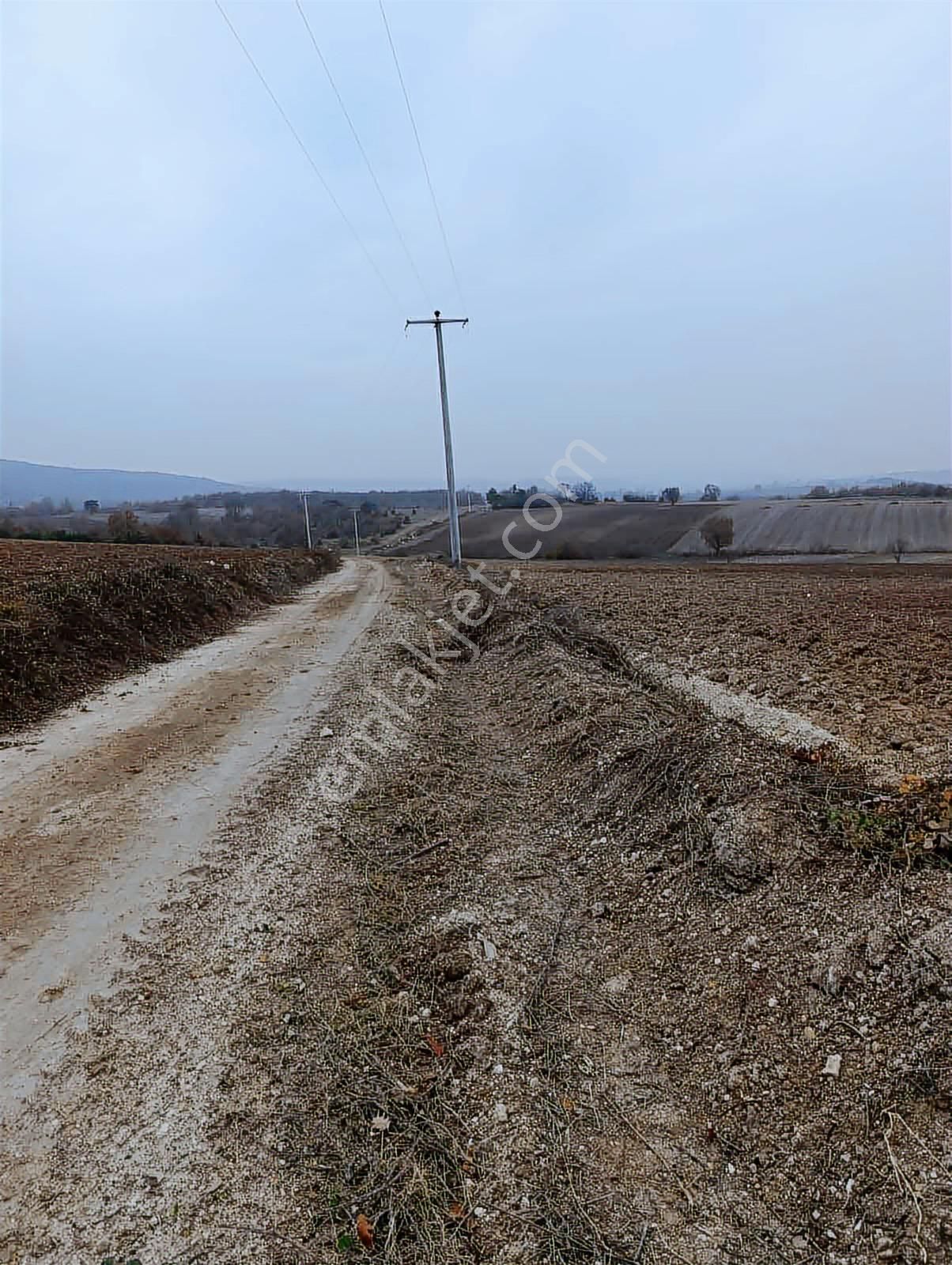 Gökçesuda 2 Dönüm Sulu Tarla - Görsel 3