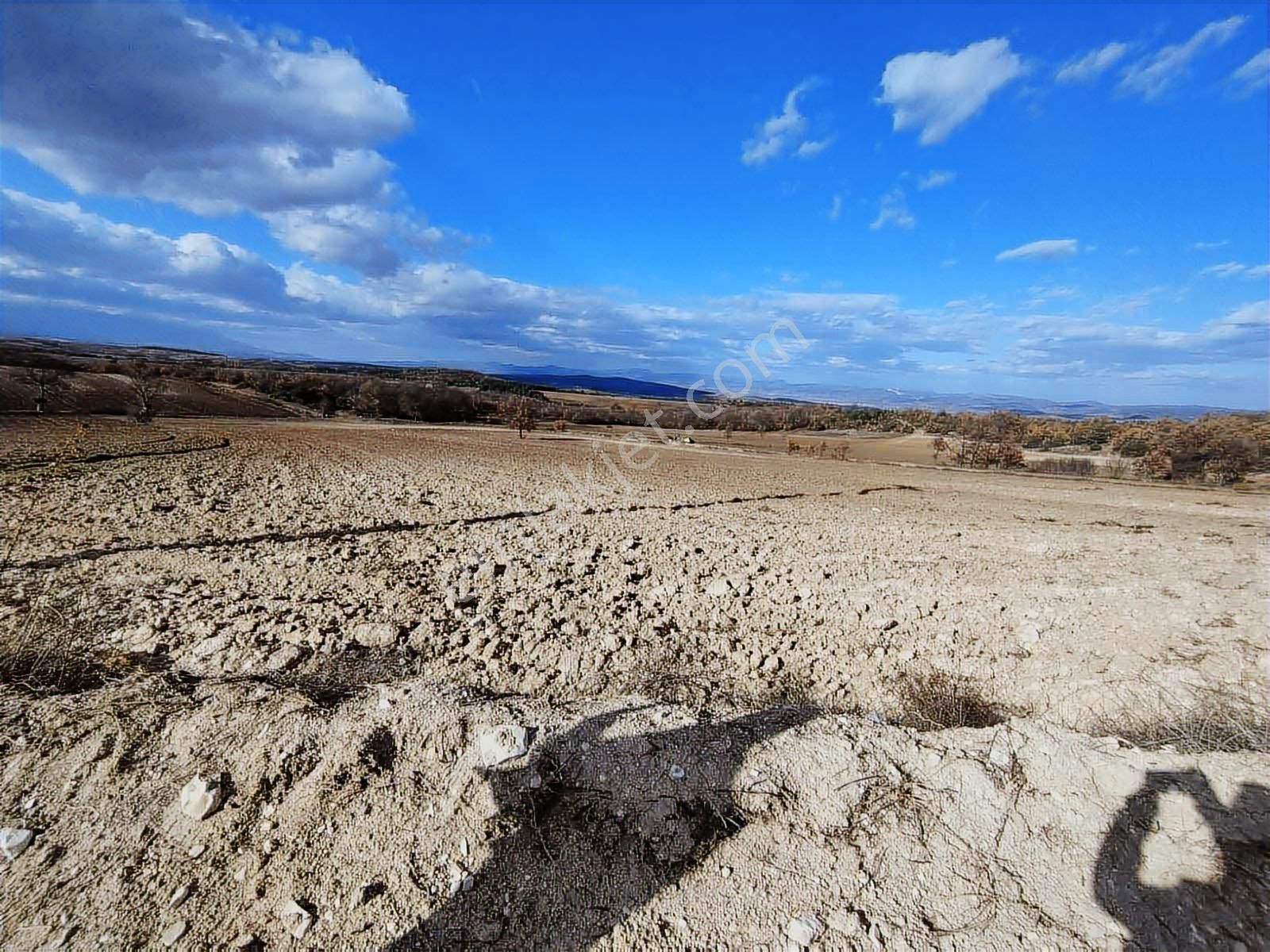 Gökçesuda 2 Dönüm Sulu Tarla