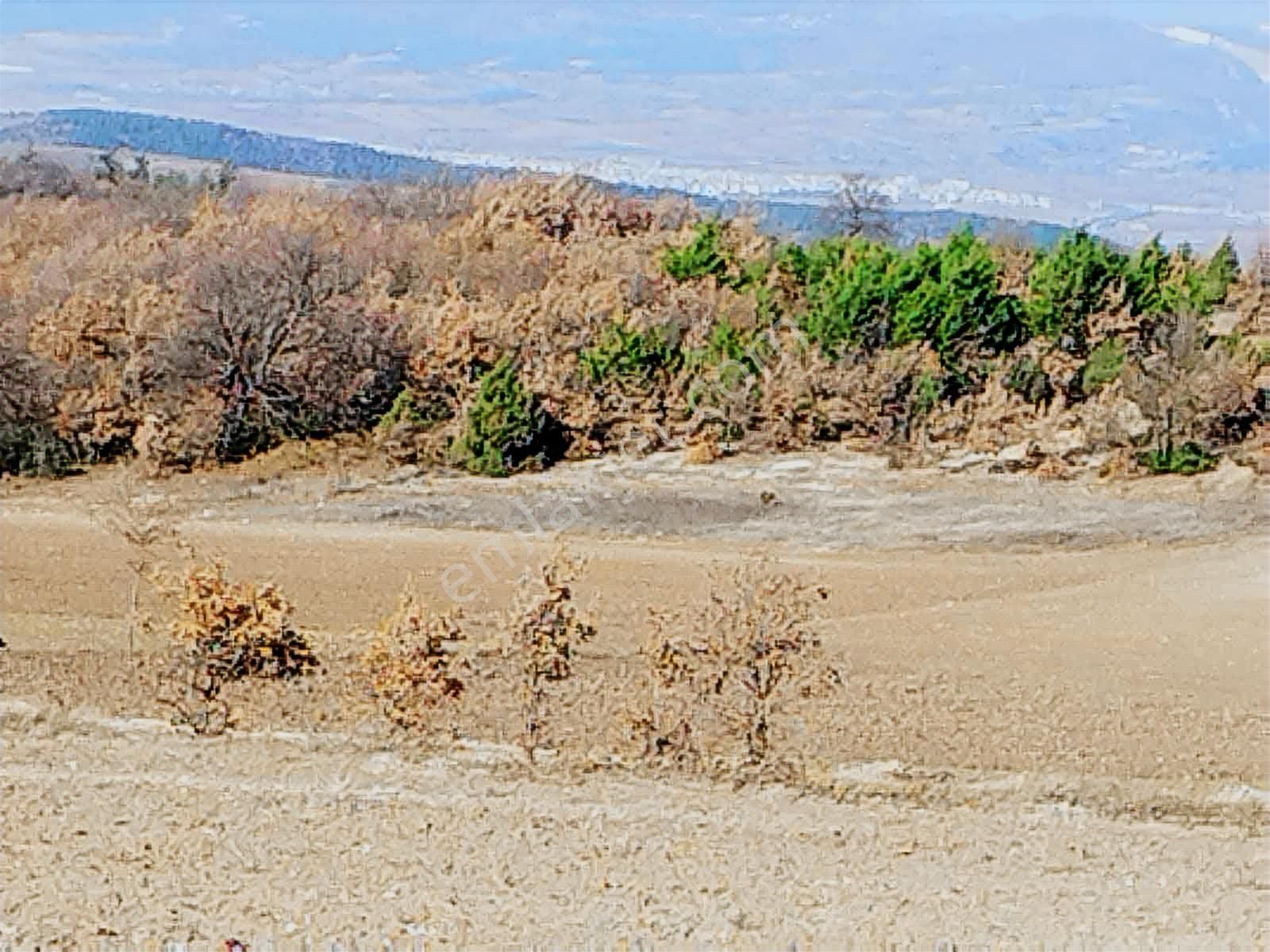 Gökçesuda 2 Dönüm Sulu Tarla - Görsel 5