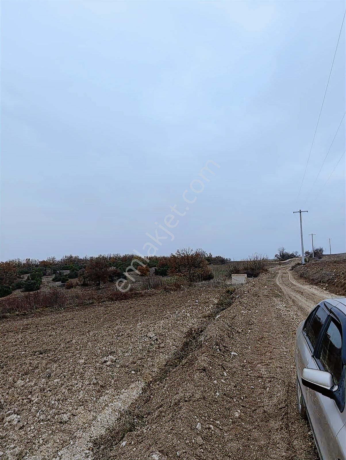 Gökçesuda 2 Dönüm Sulu Tarla - Görsel 6