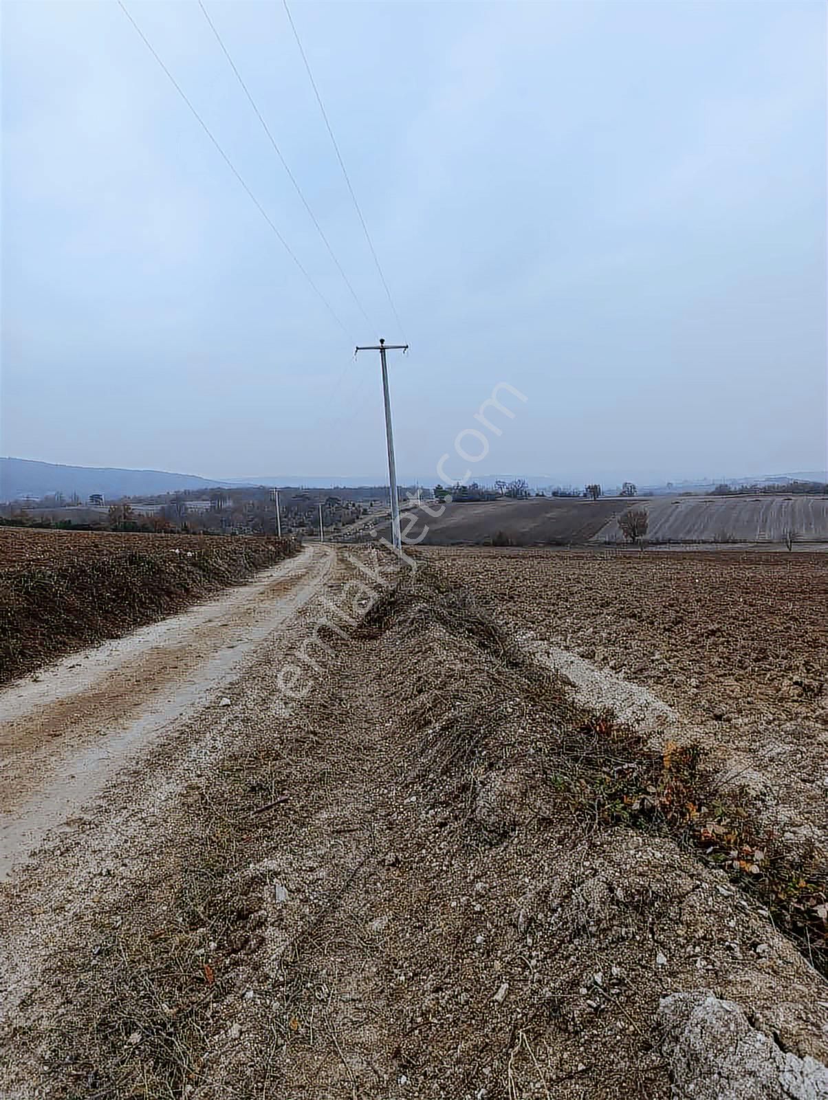 Gökçesuda 2 Dönüm Sulu Tarla - Görsel 8