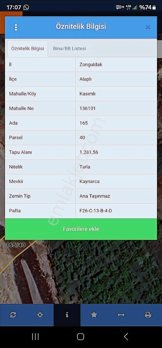 1280m Düz Denize 3.km Etrafı Fındık Bahcesi Dere Cepheli Suyuvar - Görsel 21