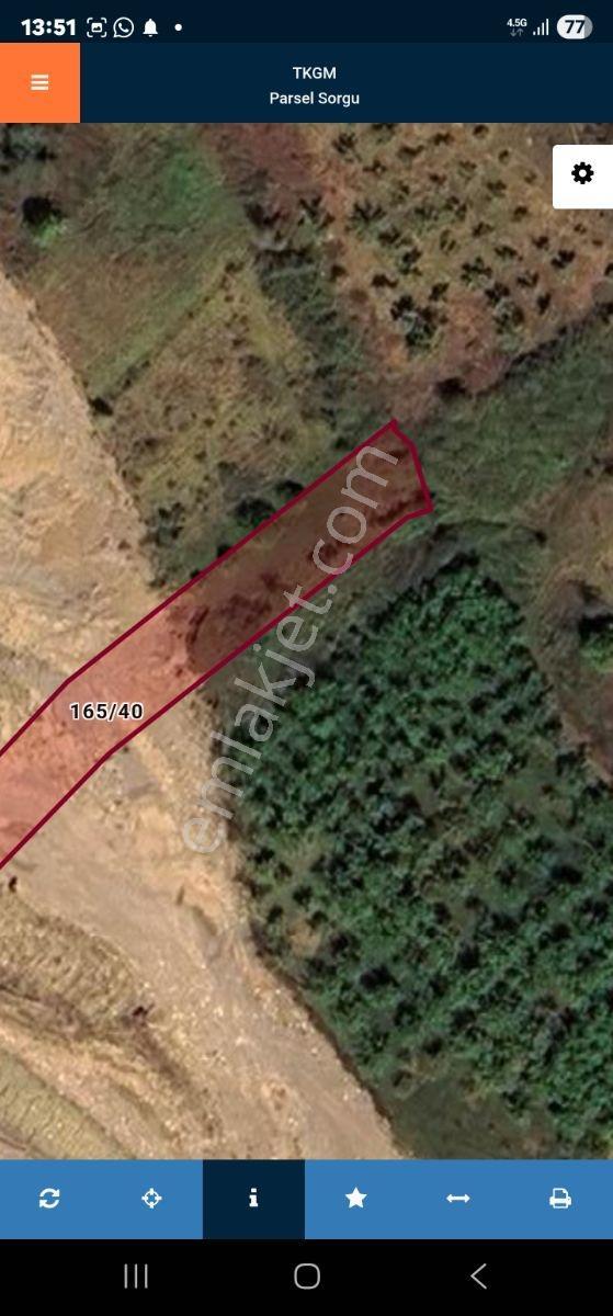 1280m Düz Denize 3.km Etrafı Fındık Bahcesi Dere Cepheli Suyuvar - Görsel 35