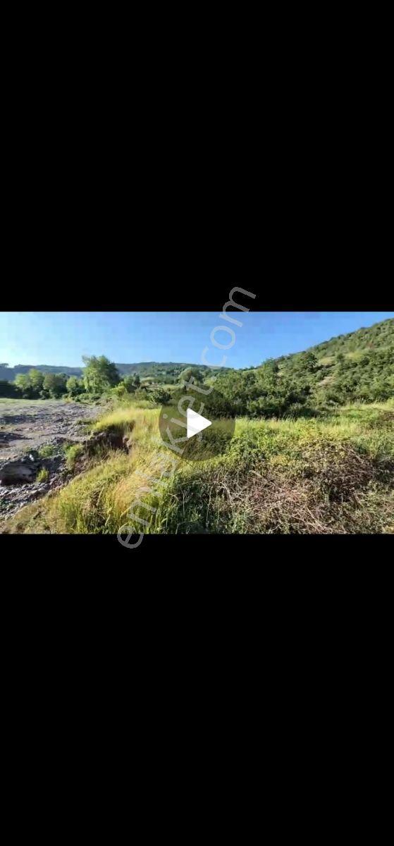 1280m Düz Denize 3.km Etrafı Fındık Bahcesi Dere Cepheli Suyuvar - Görsel 12