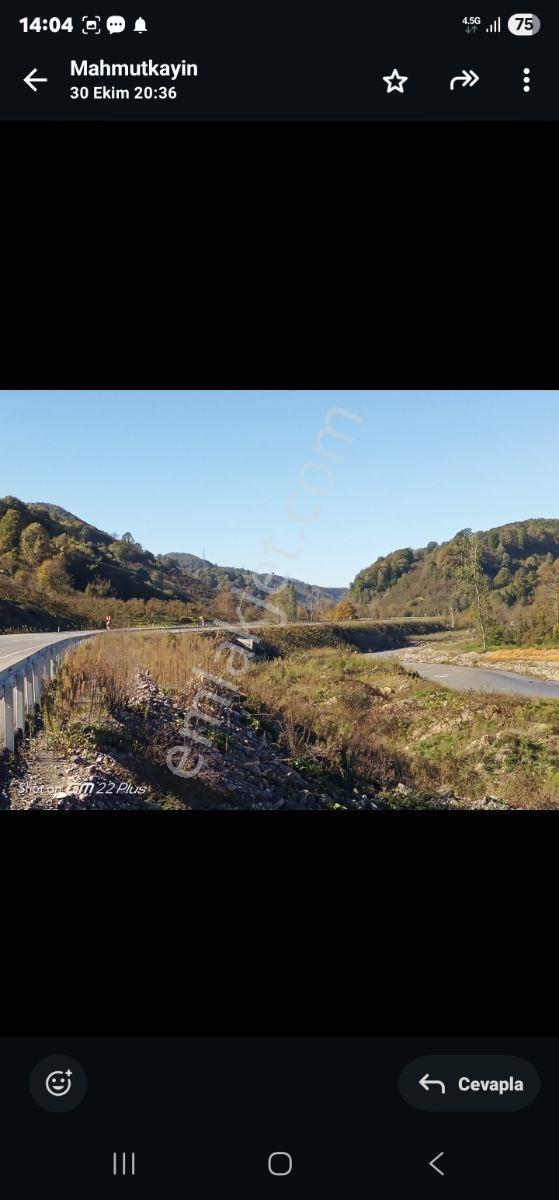 1280m Düz Denize 3.km Etrafı Fındık Bahcesi Dere Cepheli Suyuvar - Görsel 16