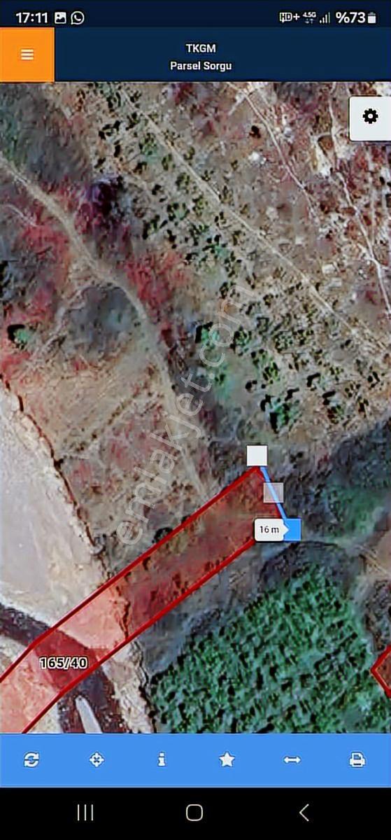 1280m Düz Denize 3.km Etrafı Fındık Bahcesi Dere Cepheli Suyuvar - Görsel 3