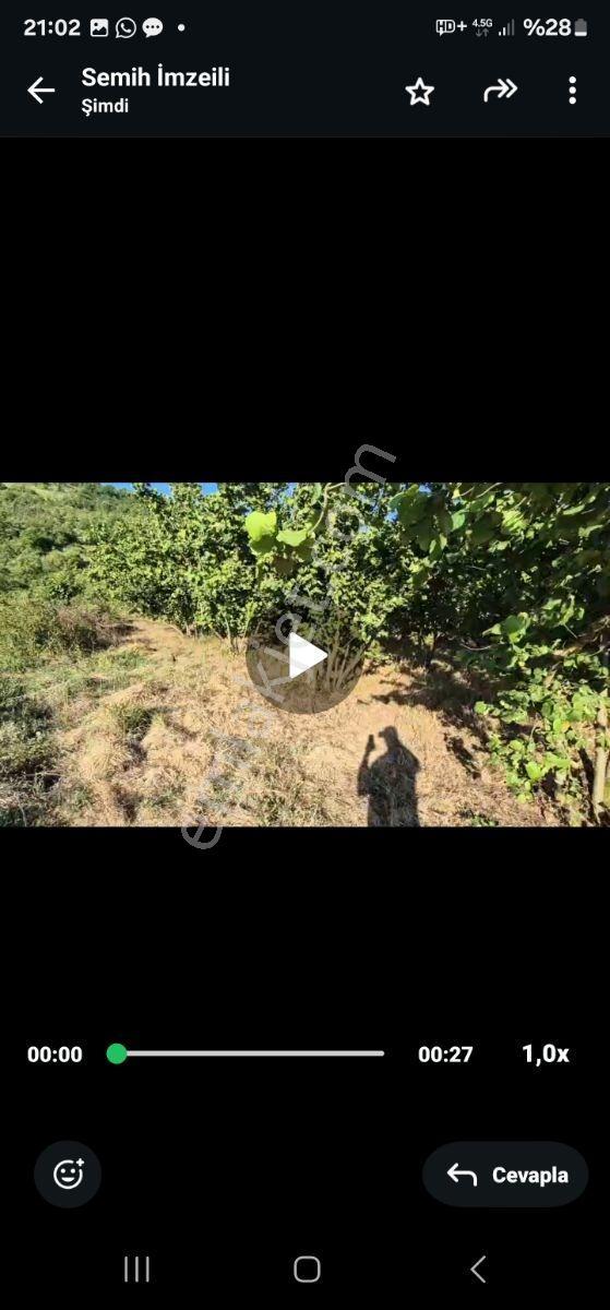1280m Düz Denize 3.km Etrafı Fındık Bahcesi Dere Cepheli Suyuvar - Görsel 6