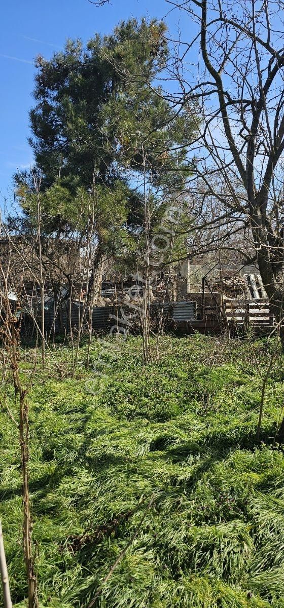 835m.1daire Fiyatına 24 Daire Yapılabilen Fırsat - Görsel 12