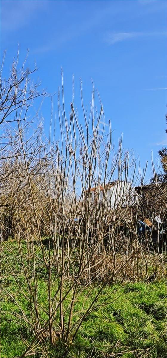 835m.1daire Fiyatına 24 Daire Yapılabilen Fırsat - Görsel 3