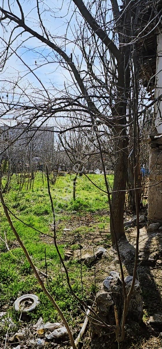 835m.1daire Fiyatına 24 Daire Yapılabilen Fırsat - Görsel 15