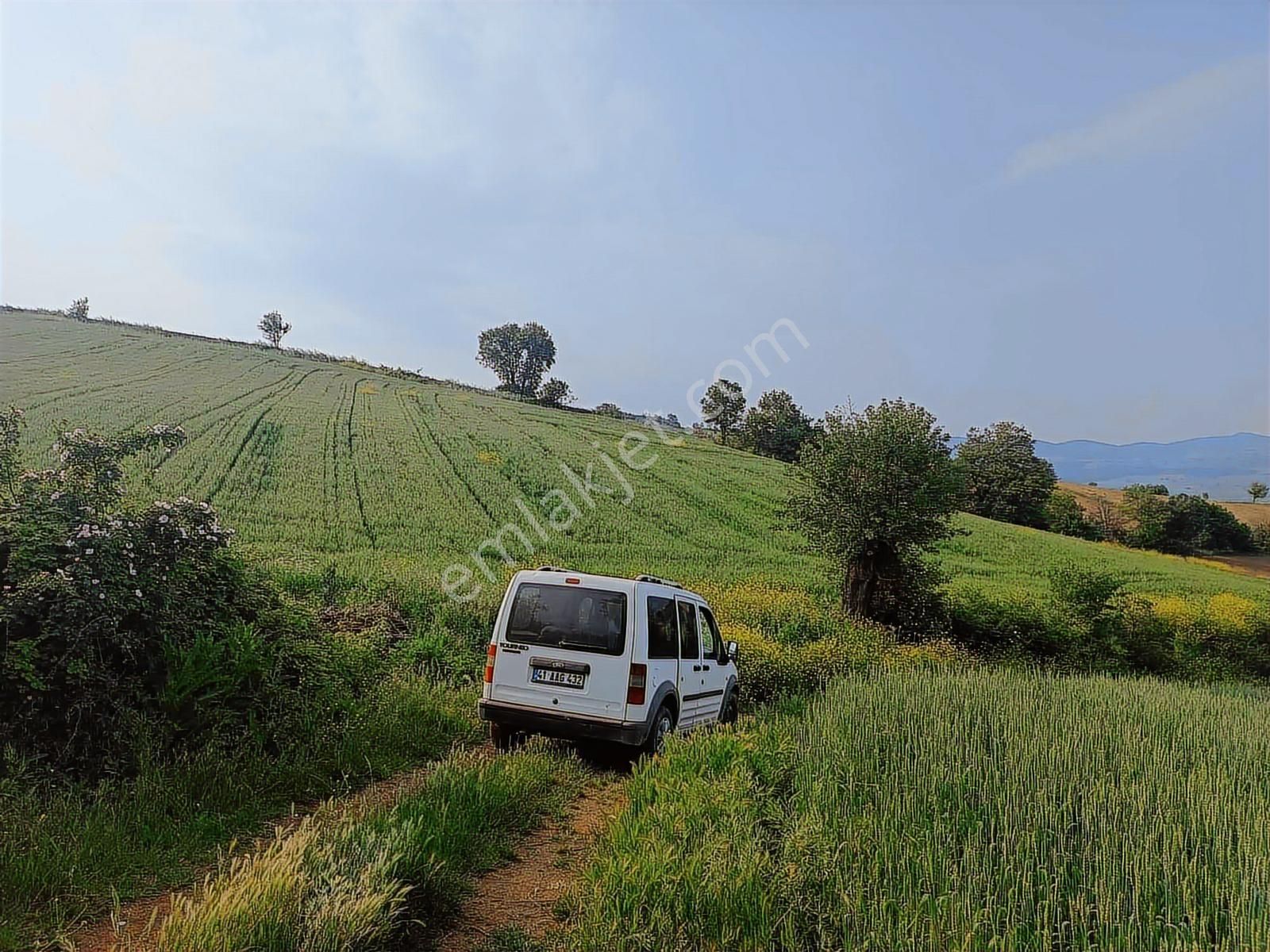 11 Dönüm Çelebide Yola Cephe Tarla