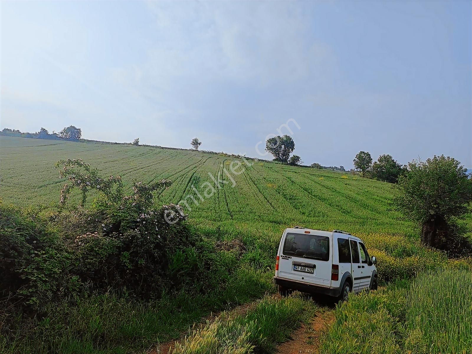 11 Dönüm Çelebide Yola Cephe Tarla - Görsel 4