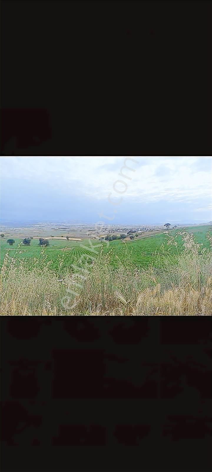 Çelebide Köye Yakın Konumda 6734 M Uygun Tarla - Görsel 8