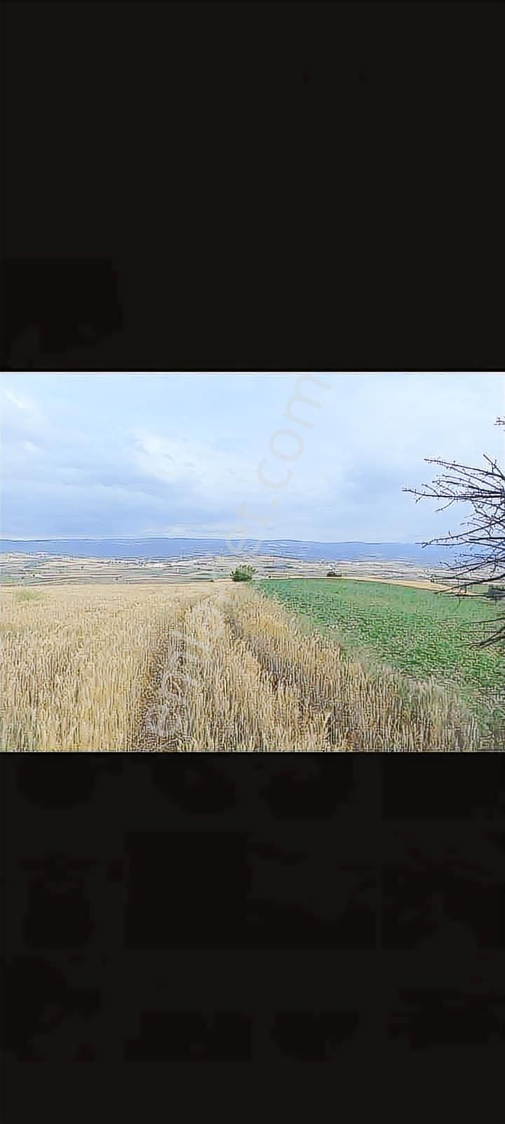 Çelebide Köye Yakın Konumda 6734 M Uygun Tarla - Görsel 2