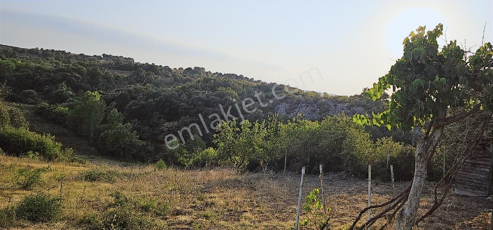 12000m Ceviz Bahcesi 2katlı Bağ Evi Yapılabilen Hava Alanına12km - Görsel 27