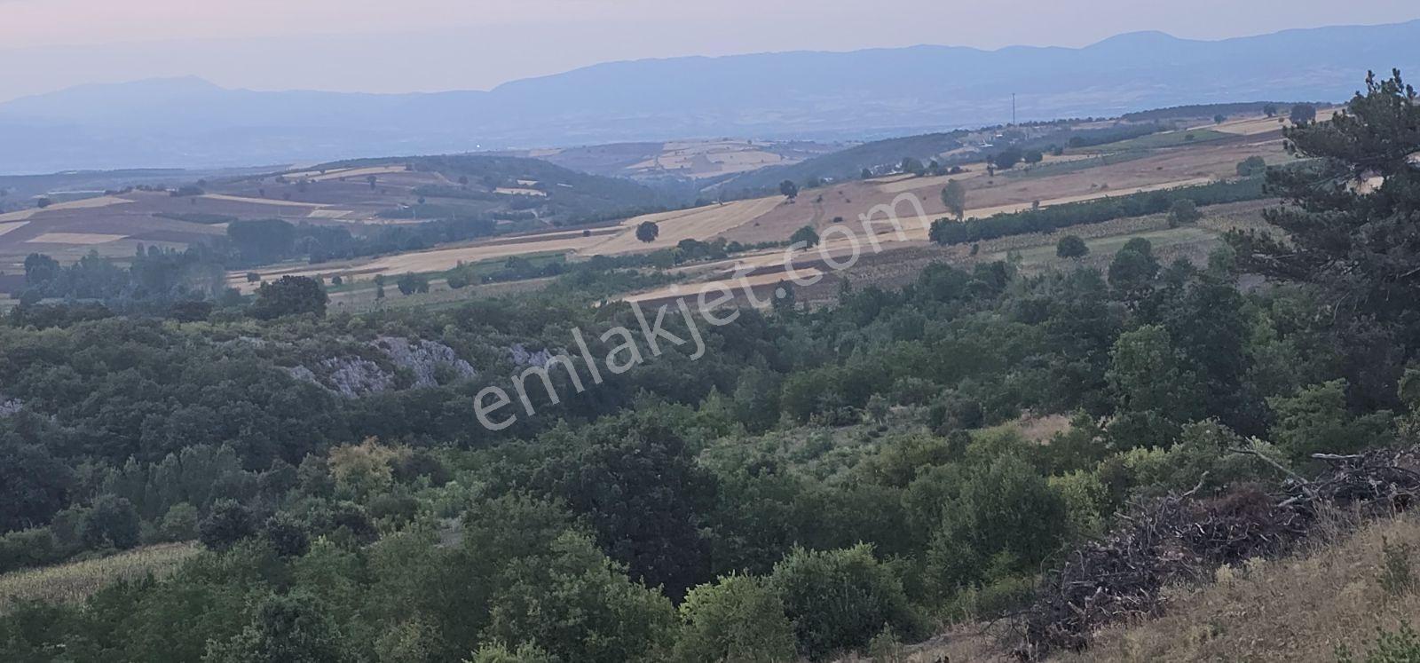 12000m Ceviz Bahcesi 2katlı Bağ Evi Yapılabilen Hava Alanına12km - Görsel 11